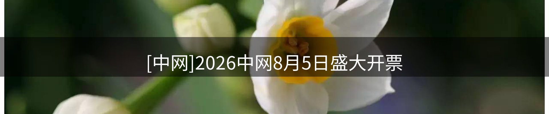 品牌资讯